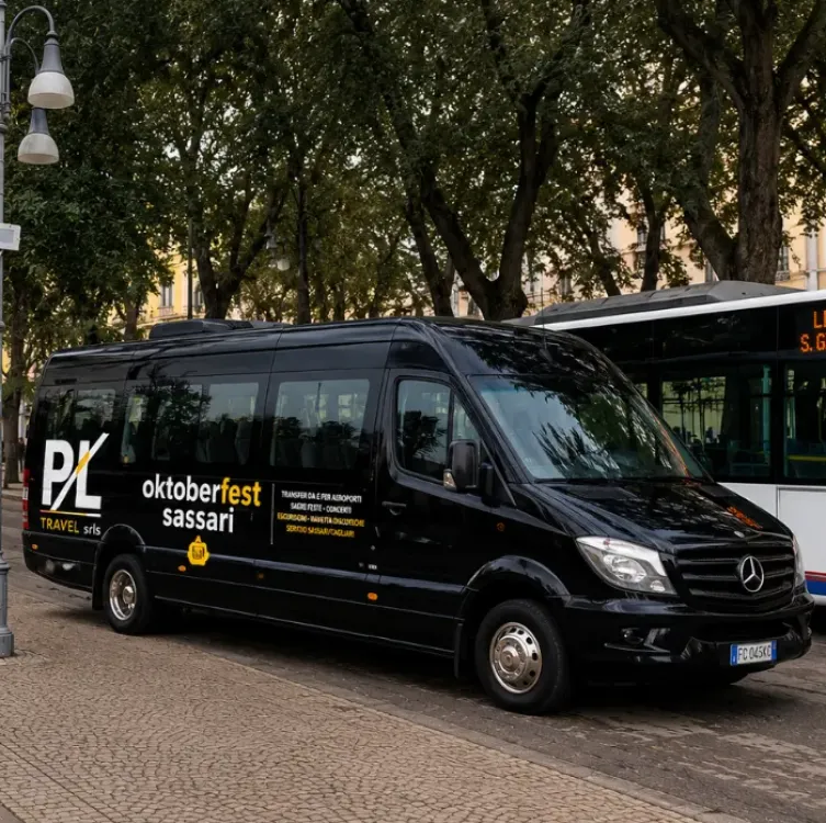 Immagine grafica relativa al servizio navetta